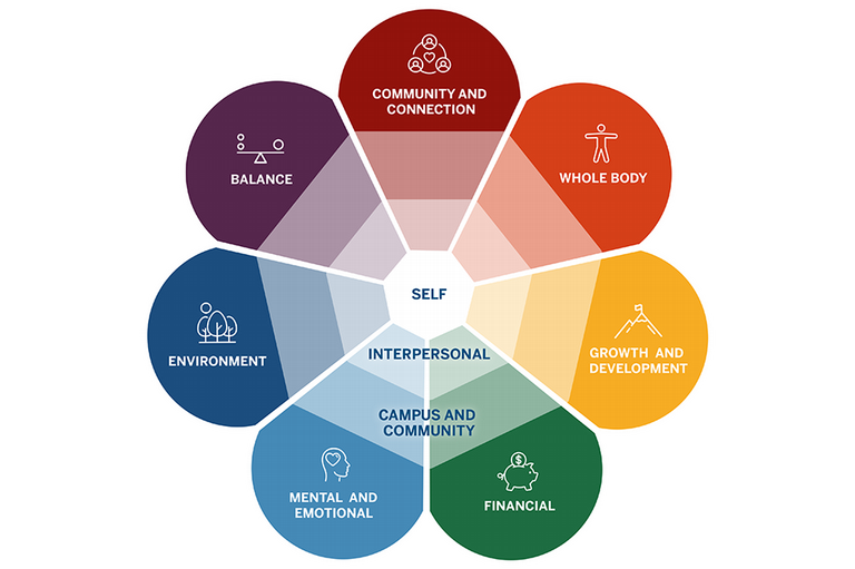 A photo of IU's Wellness framework.